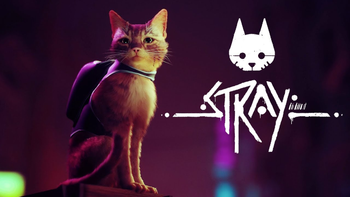 Stray Logo